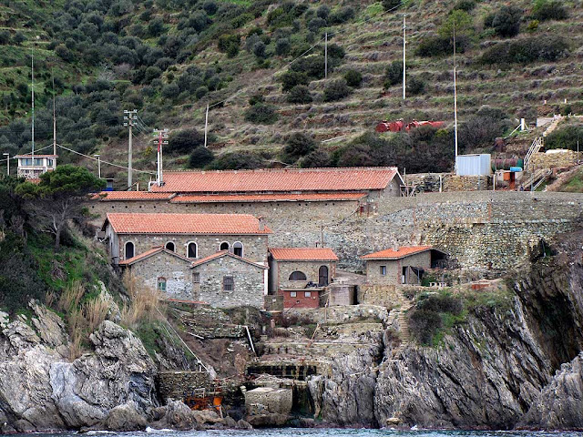 Gorgona island seen from a ferry