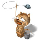 dinga cat