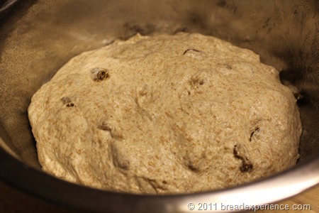 spelt-bread-pecans-raisins_0417