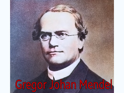 History of Genetics, mendel images,