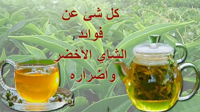 فوائد الشاي الأخضر