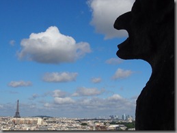P6092268