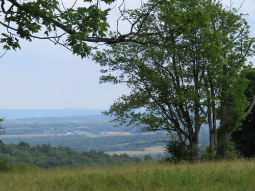 view across Seneca Lake