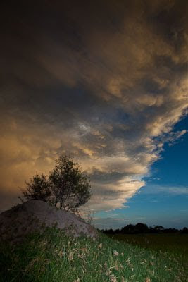 c4 images and safaris, chiefs island, isak pretorius, okavango delta, safaris