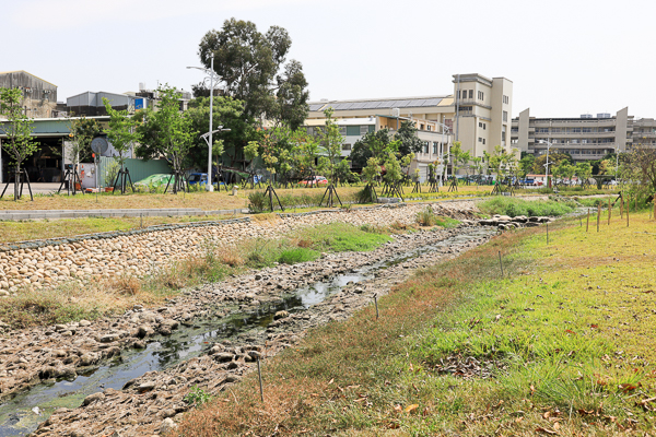 台中大里鳥竹圍公園旱溪河濱步道輕鬆散步，欣賞野鳥生態水岸美景