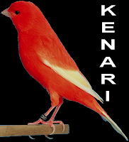 http://caraterupdate.blogspot.com/2013/01/cara-membedakan-jenis-kelamin-burung-kenari.html