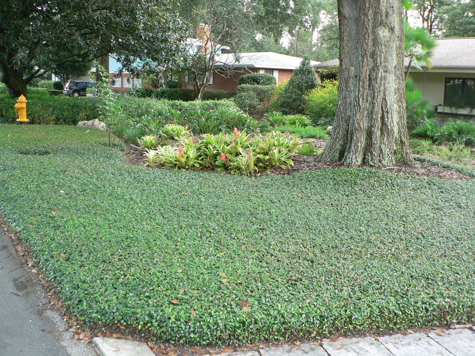 ... -Friendly Landscaping: How to Establish a Low Maintenance Landscape