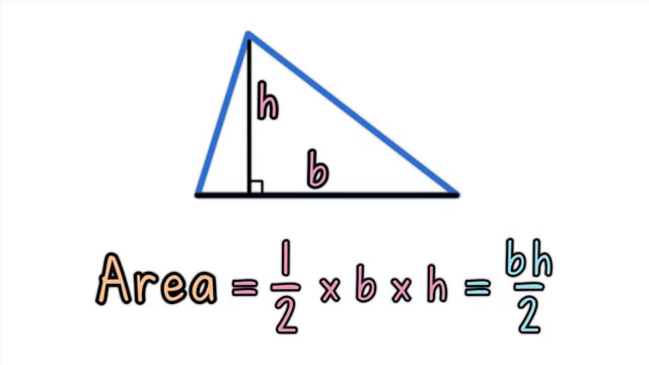 How to calculate area of triangle in Java Program Java67