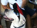 Mi amigo Urko