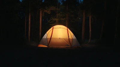 Camping, Night, Forest, Nature