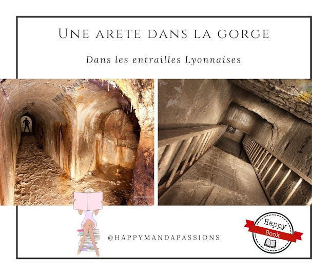 une arete dans la gorge Christophe Royer avis chronique happybook laliseuseheureuse