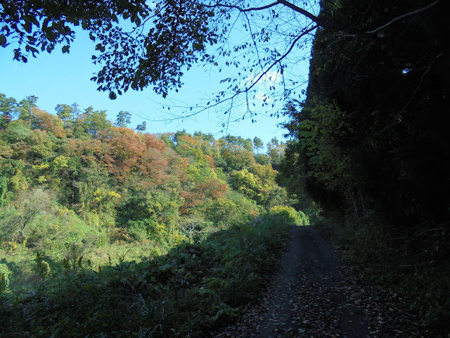 谷の道の山々の紅葉