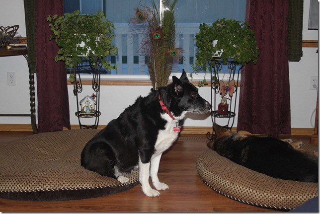 Meg and Montana