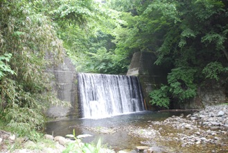 DSC 0132