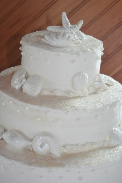  I'd share some pictures of my vision for a beach wedding A cake like