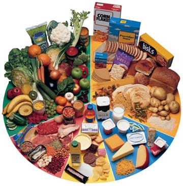 This picture shows the exact healthy foods to be eaten with the ...