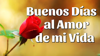  frases de amor de buenos dias