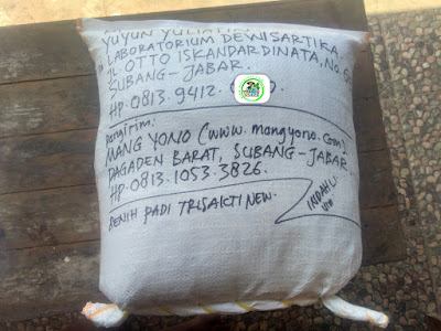 Benih PesananYUYUN YULIATIN Subang, Jabar. (Sesudah packing)