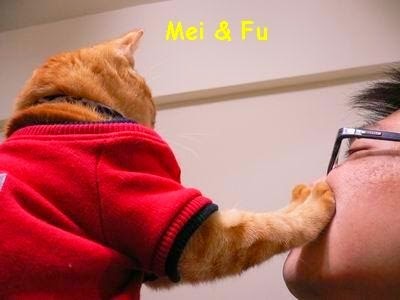 1184694127