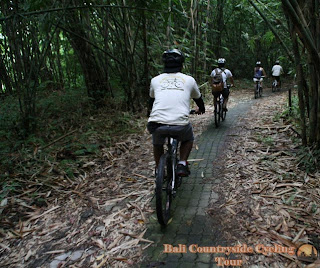 Photos Of Bamboo Forest Bali Countryside Cycling Tour Tracks - bike in bamboo forest