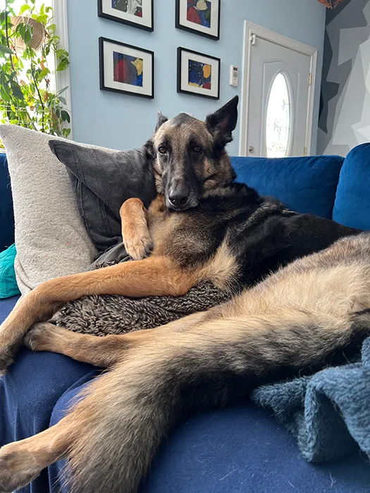 Finn on the new Interior Define couch