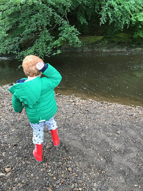 A red haired boy throwing stones