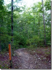 Nice trail markings