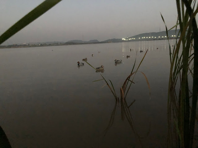 HUNTING PAKSITAN