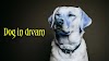 Seeing Dog in dream islam | Spiritual meaning of Dog in dream 
