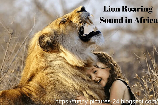 Lion Roaring Sound