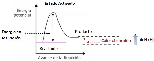Resultado de imagen para reaccion endotermica