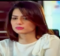 Ishq Mein Tere Episode 17 Hum TV 19 March 2014