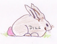 Illustration of rabbit by Diane M. Moore