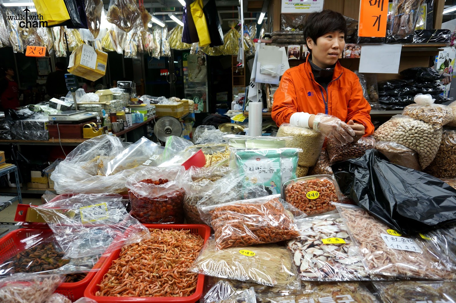 Walk with Cham: Jagalchi Fish Market Busan South Korea