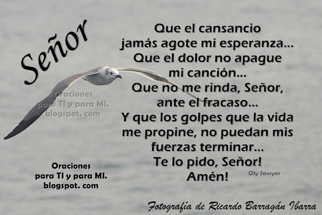 SEÑOR, Que el cansancio jamás agote mi esperanza... Que el dolor no apague mi canción... Que no me rinda, Señor, ante el fracaso... Y que los golpes que le vida me propine, no puedan mis fuerzas terminar...