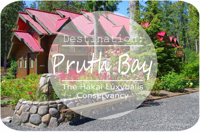 The former fishing resort is now home to the Hakai Institute at Pruth Bay, Calvert Island.