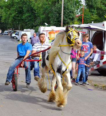 Brigg Horse Fair 2016 picture by four Ken Harrison - image posted on Nigel Fisher's Brigg Blog