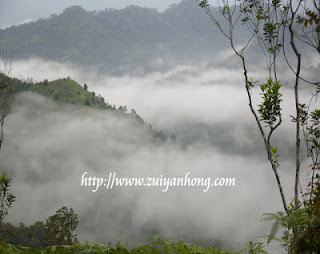 Lembing Panorama Hill