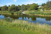 Canoeing Around Edmonton, Alberta, Canada: Sturgeon River and Big Lake, . (dscn )