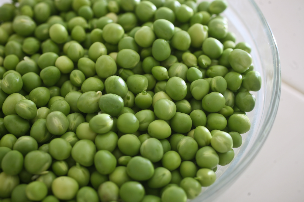 After shelling the peas, I blanched them, plunged them in cold water ...