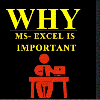 MS Excel importance