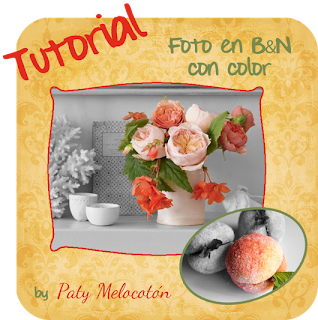 tutorial photoshop blanco negro y color