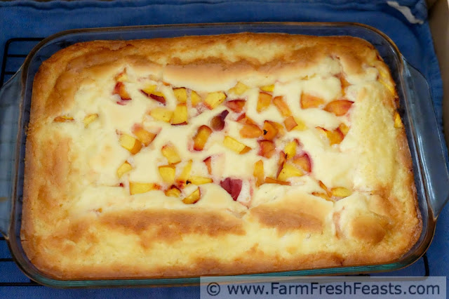 a photo of peach gooey butter cake in the car trunk