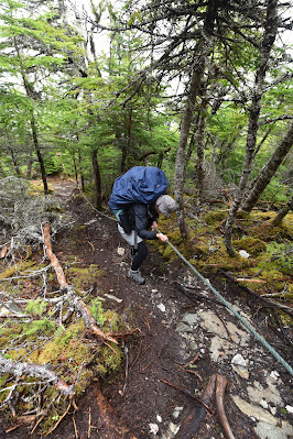 Sonya Richmond rope climb down East Coast Trail.