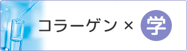 コラーゲン×学