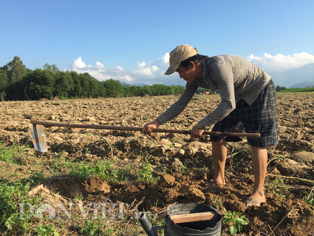 Theo chân thợ săn đặc sản sùng đất vào mùa