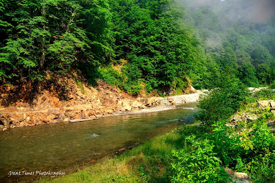 Mocanita, Valea Vaserului, Viseu, Maramures, Viseul de sus, Romania, Landscapes, 