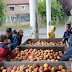 Fabrication de jus de pommes.