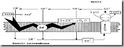 clip_image048