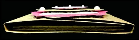 TLC459-flat